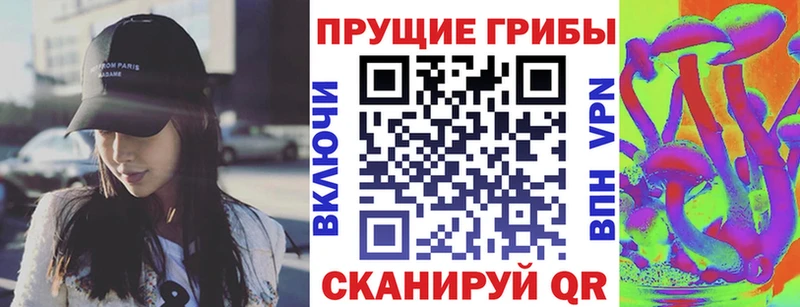 цена наркотик  мориарти официальный сайт  Псилоцибиновые грибы прущие грибы  Славгород 